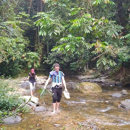Pongo Guest House & Jungle Trekking Букіт-Лаванґ Екстер'єр фото