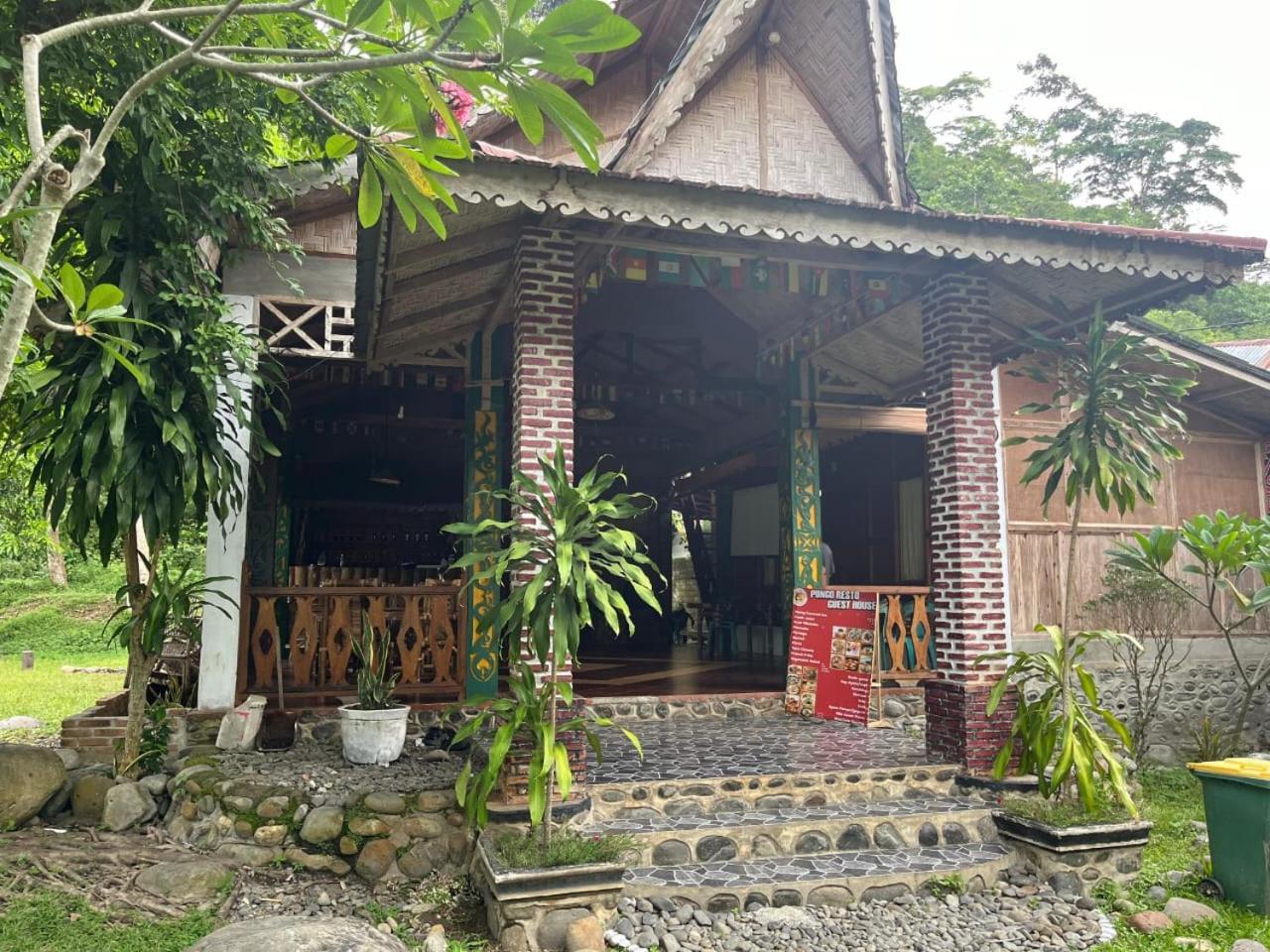 Pongo Guest House & Jungle Trekking Букіт-Лаванґ Екстер'єр фото