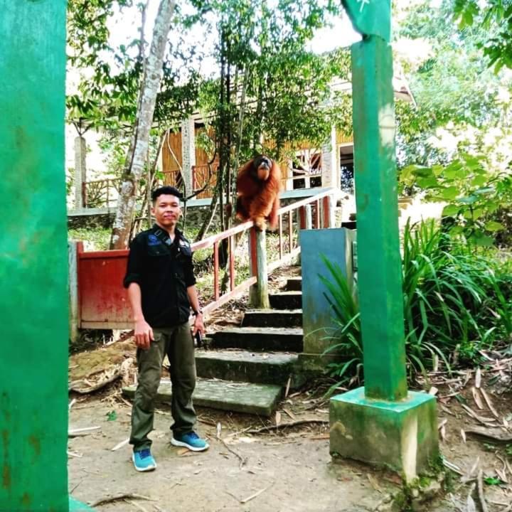 Pongo Guest House & Jungle Trekking Букіт-Лаванґ Екстер'єр фото