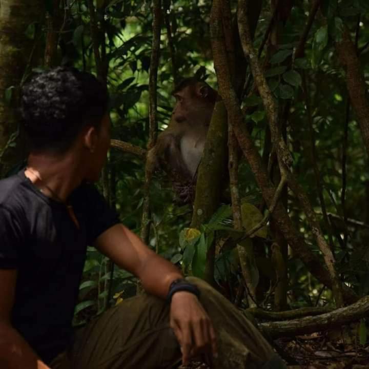 Pongo Guest House & Jungle Trekking Букіт-Лаванґ Екстер'єр фото