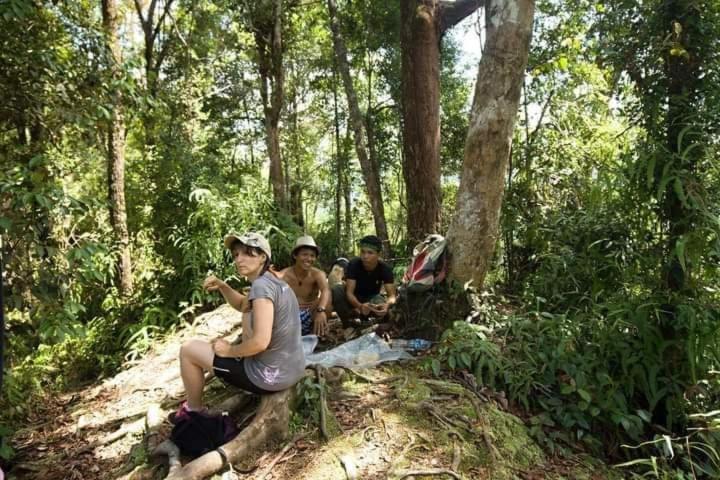 Pongo Guest House & Jungle Trekking Букіт-Лаванґ Екстер'єр фото